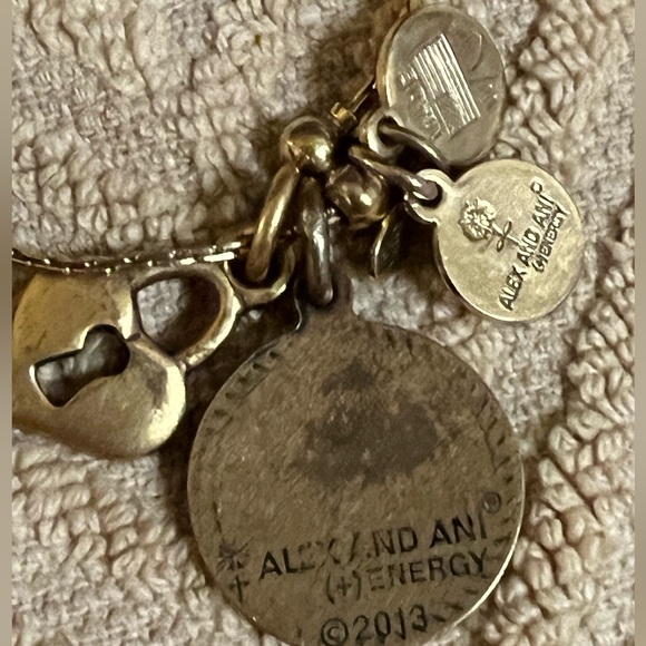 Alex and Ani Adjustable Pull Chain “Love” Necklace - Picture 3 of 7